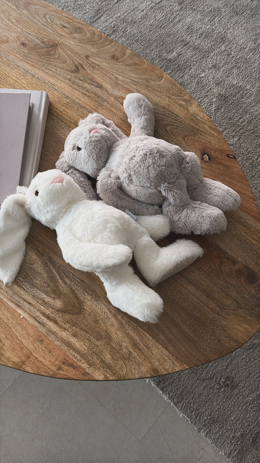 Bunny
