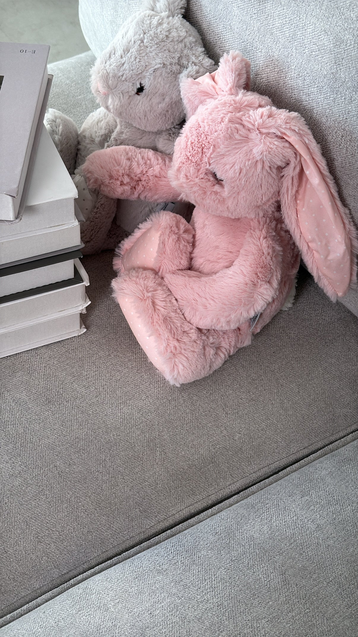 Bunny
