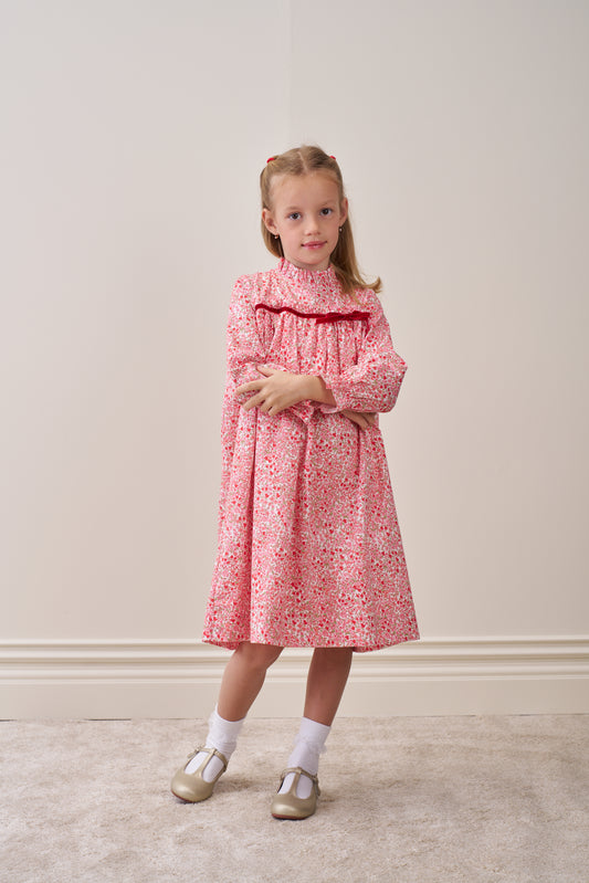 Rose Garden Dress